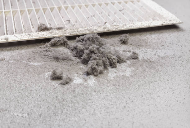 Best Air Duct Cleaning Near Me  in Dunbar, SC