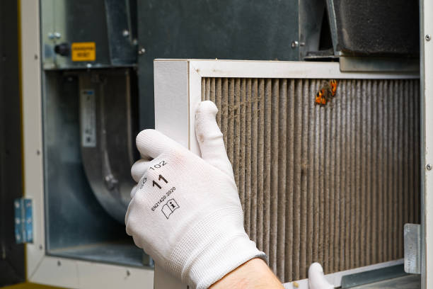 Best Dryer Vent Cleaning Services  in Dunbar, SC